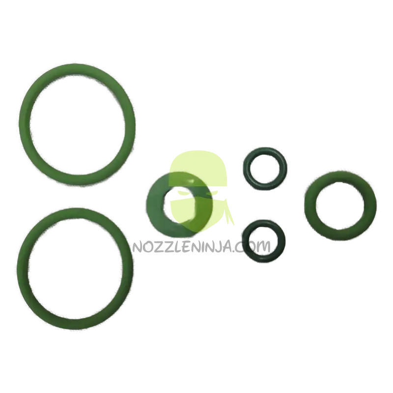 Pro Flow Nozzle Body Seal Kit Viton Accessory