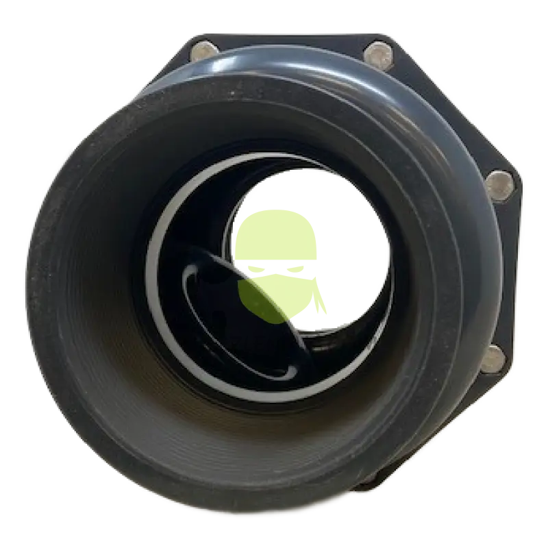 4’’ PVC Check Valve FPT Valve