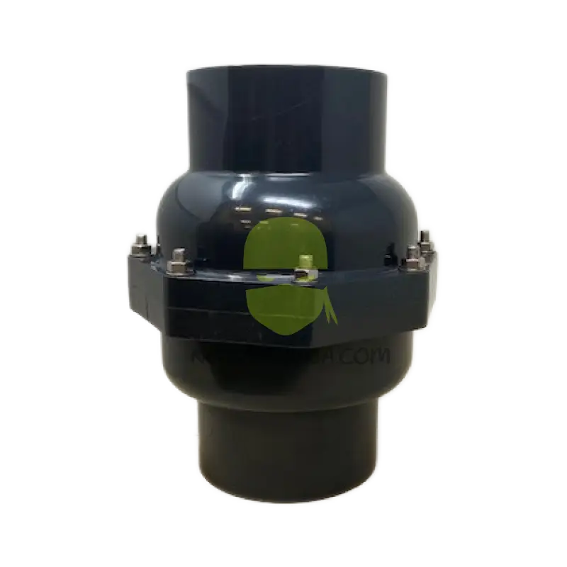 4’’ PVC Check Valve FPT Valve