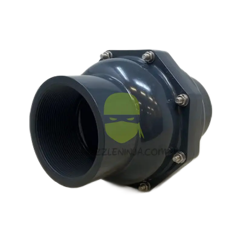 4’’ PVC Check Valve FPT Valve