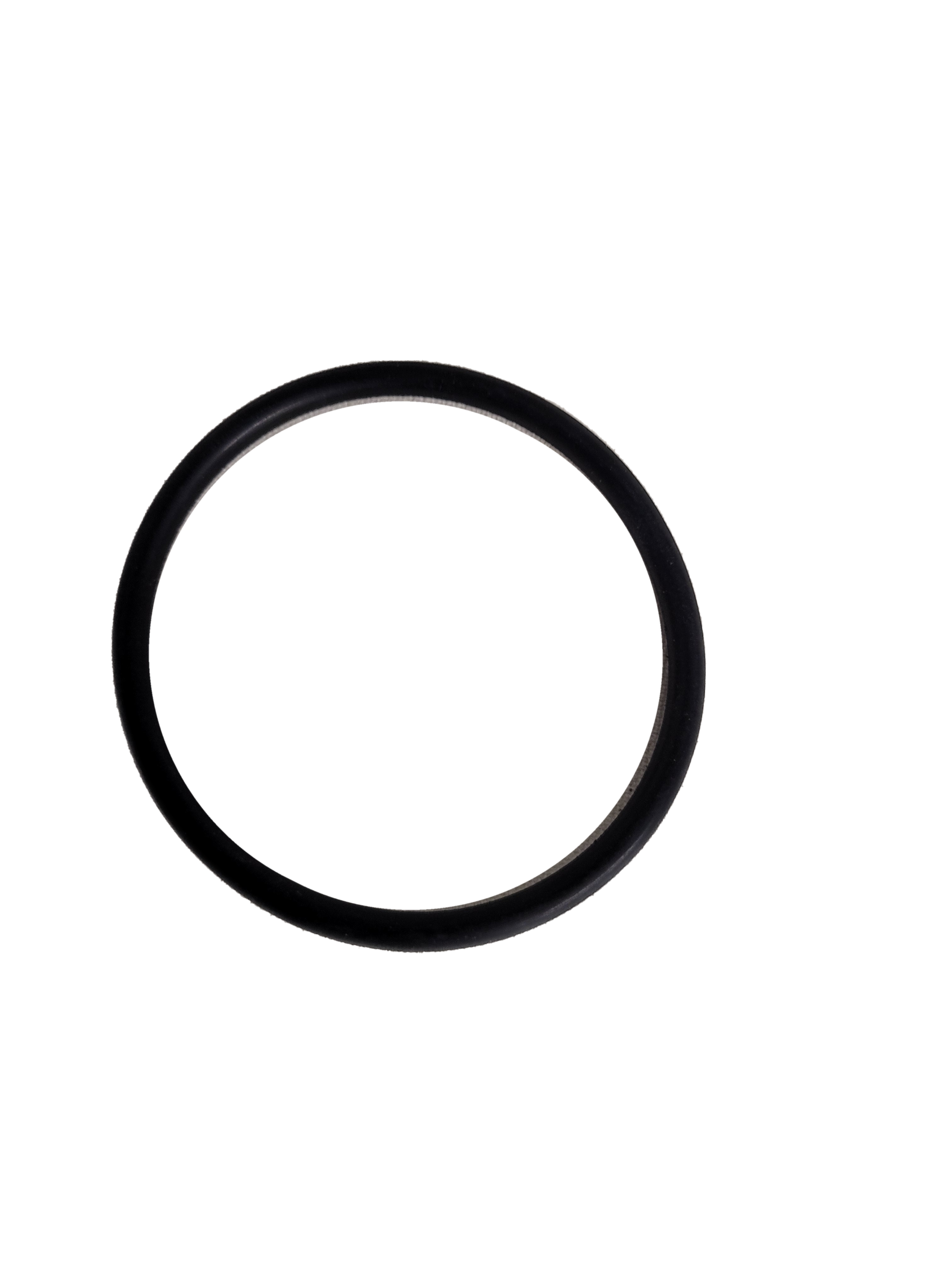 GASKET for 3/4 and 1" Banjo T Strainers Viton
