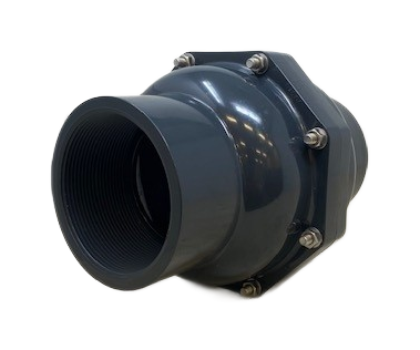 4" PVC Check Valve FPT