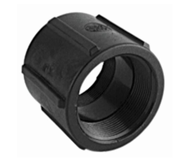 CPLG025 1/4" FPT Poly Coupling