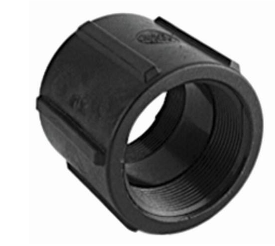 CPLG038 3/8" FPT Poly Coupling