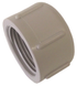 Drain Cap for T-Strainer