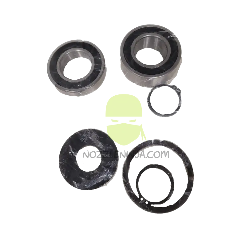 Bearing Kit For 9307C Series Hypro Pumps Pump Parts