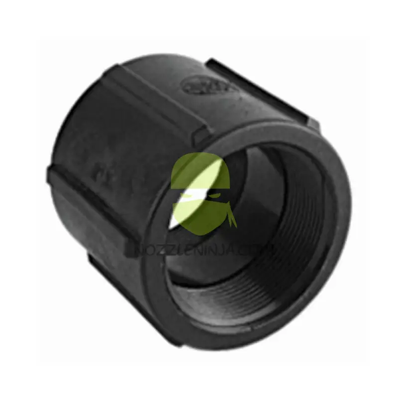 CPLG025 1/4’’ FPT Poly Coupling Threaded Fitting