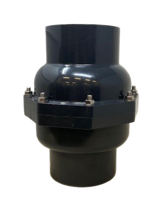 4" PVC Check Valve FPT