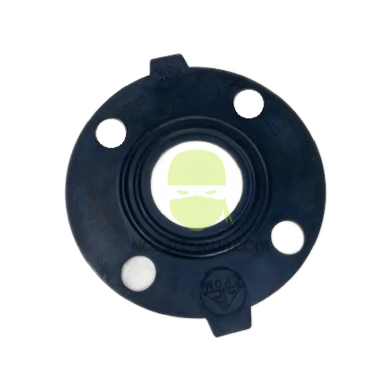 Gasket for 2’’ ANSI Flange Tank Outlet Tank Accessory