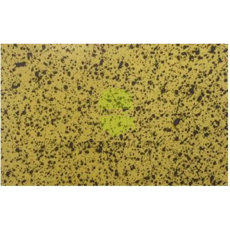 Pulse Guard Nozzle Nozzle Broadcast